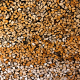 017_holz