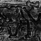 sw_009_baum