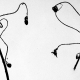 sw_eis_001