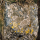 009_flechten