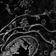 sw_eis_013