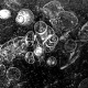 sw_eis_035