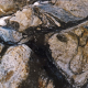 002_felsen