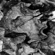 sw_010_baum
