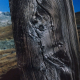 002_baum