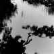 sw_wasser_001