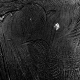 sw_004_baum