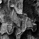 sw_entdeckungen_001