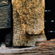 010_holz