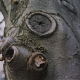 001_baum