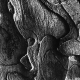sw_entdeckungen_005