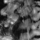 sw_eis_015