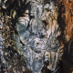 005_holz