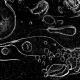 sw_eis_016