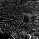 sw_eis_007