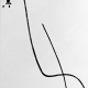 sw_eis_034