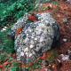 004_felsen