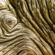 014_holz