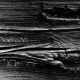 sw_003_baum