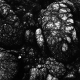 sw_entdeckungen_007