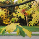 008_baum