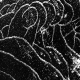 sw_eis_014