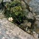 003_flechten