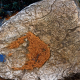 014_felsen