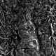 sw_entdeckungen_009