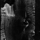sw_entdeckungen_002