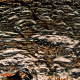 009_holz