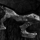 sw_eis_036